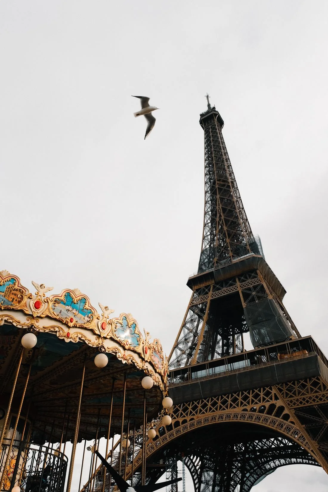 Eiffel Tower above the rooftops of Paris
